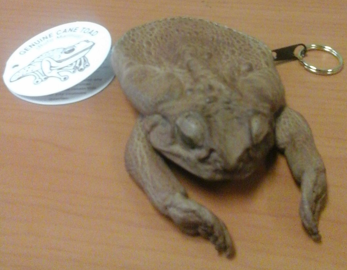 toad coin purse