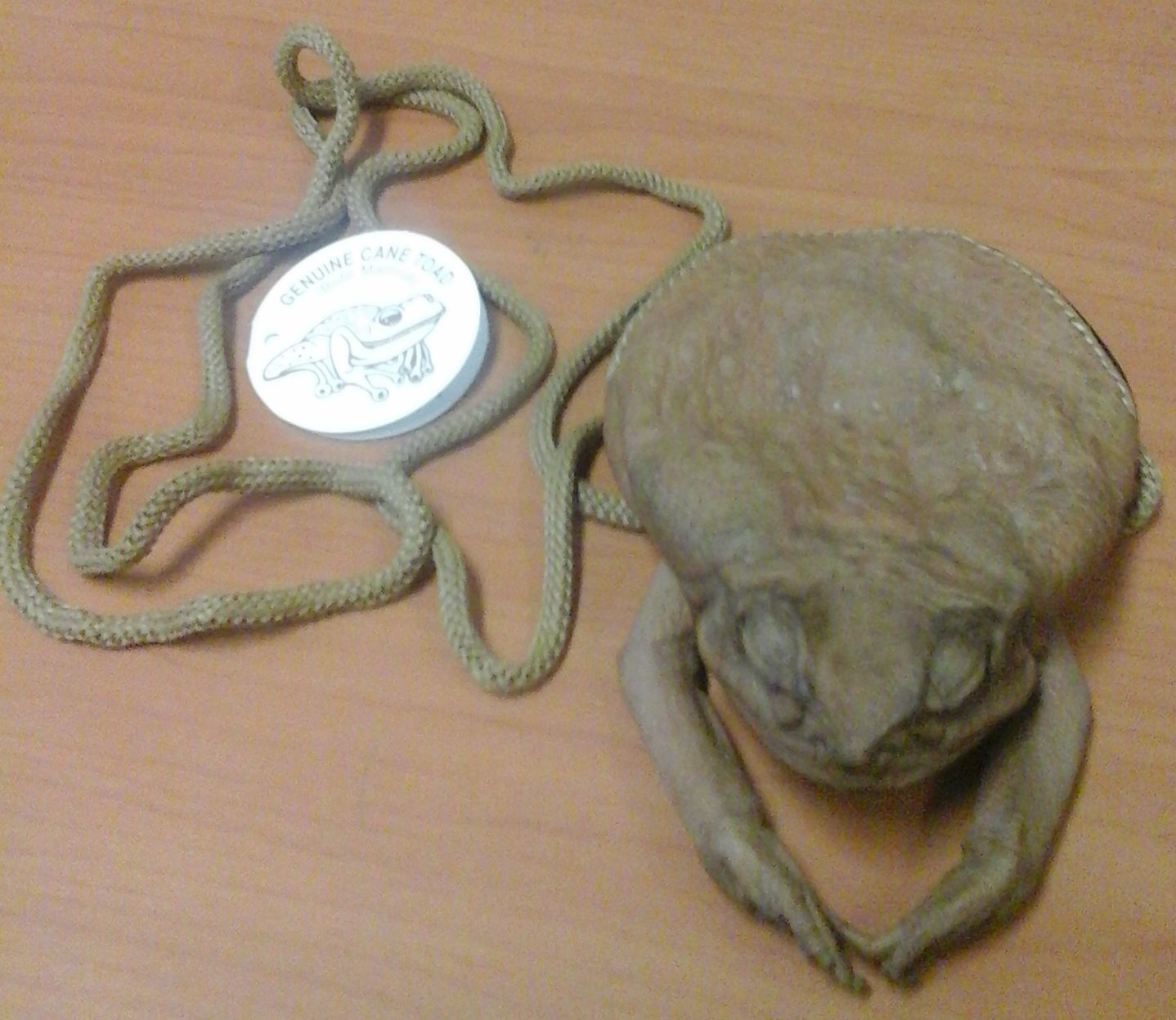 toad coin purse