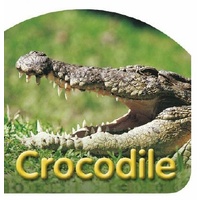Crocodile Board Book