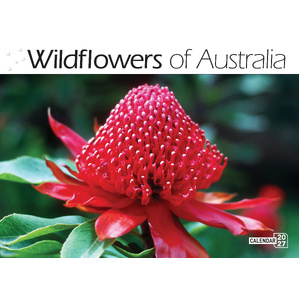 Australian Wildflowers 2027 Calendar