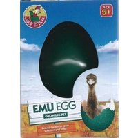 Emu Egg Growing Pet