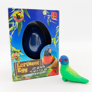 Growing Pet Lorikeet Egg