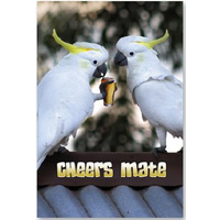 Two Cockies 'Cheers Mate' - Greeting Card