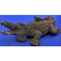 Crocodile Magnet