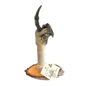 Kangaroo Paw Finger Salute with Stand