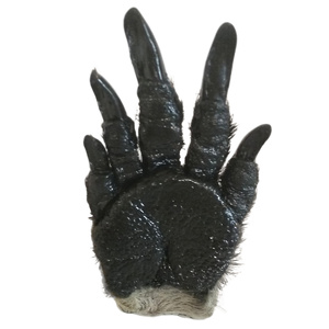 Kangaroo Paw Magnet