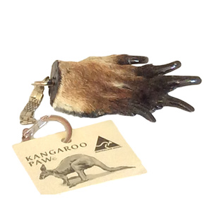 Kangaroo Paw Keyring