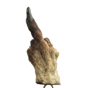 Kangaroo Paw Finger Salute Keyring