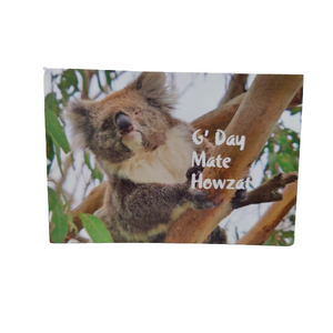 Koala Postcard No.1