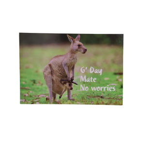 Kangaroo Postcard No.1