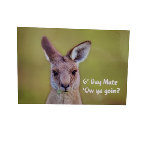 Kangaroo Postcard No.2
