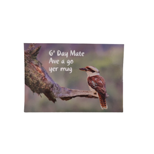 Kookaburra Postcard