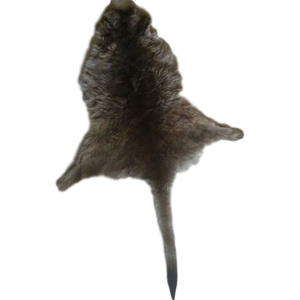 Kangaroo Skin Rug - King Size