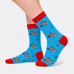 Dream Koala - Adult Socks