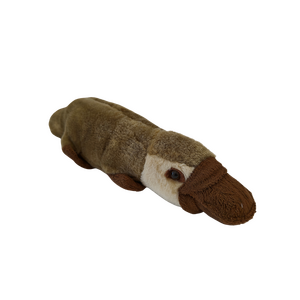 Platypus Plush Toy