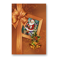 Santa Frame with Australian Animals - Christmas Card