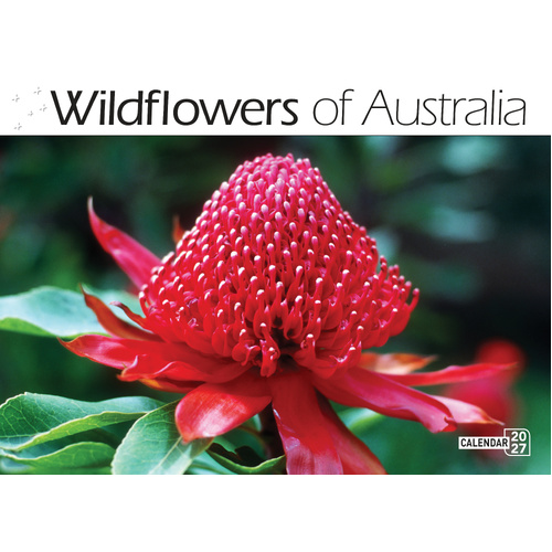 Australian Wildflowers 2027 Calendar