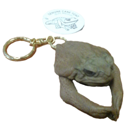 CANE TOAD KEY RING WITH LEGS
