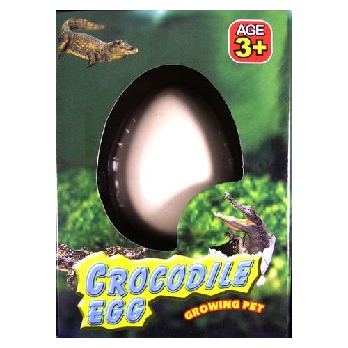 Crocodile Egg Growing Pet