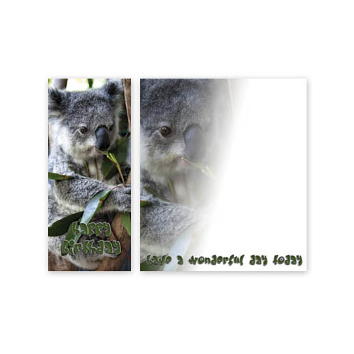 Pretty Koala - Happy Birthday Greeting Card 