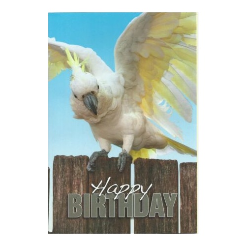 Swan's Cocky - Birthday Greeting Card