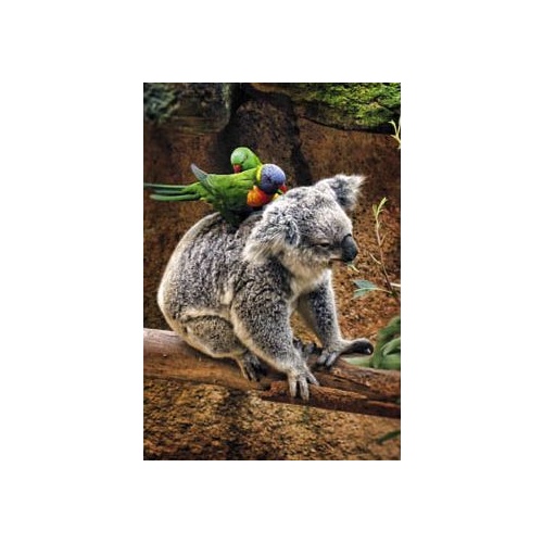 Koala & Birds - Greeting Card