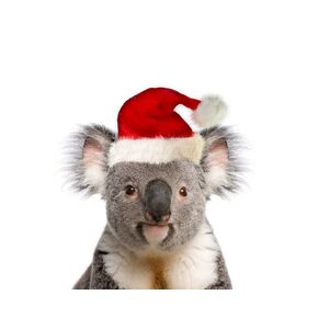 Celebrating the Season: A Festive Update on Our Holiday Closure